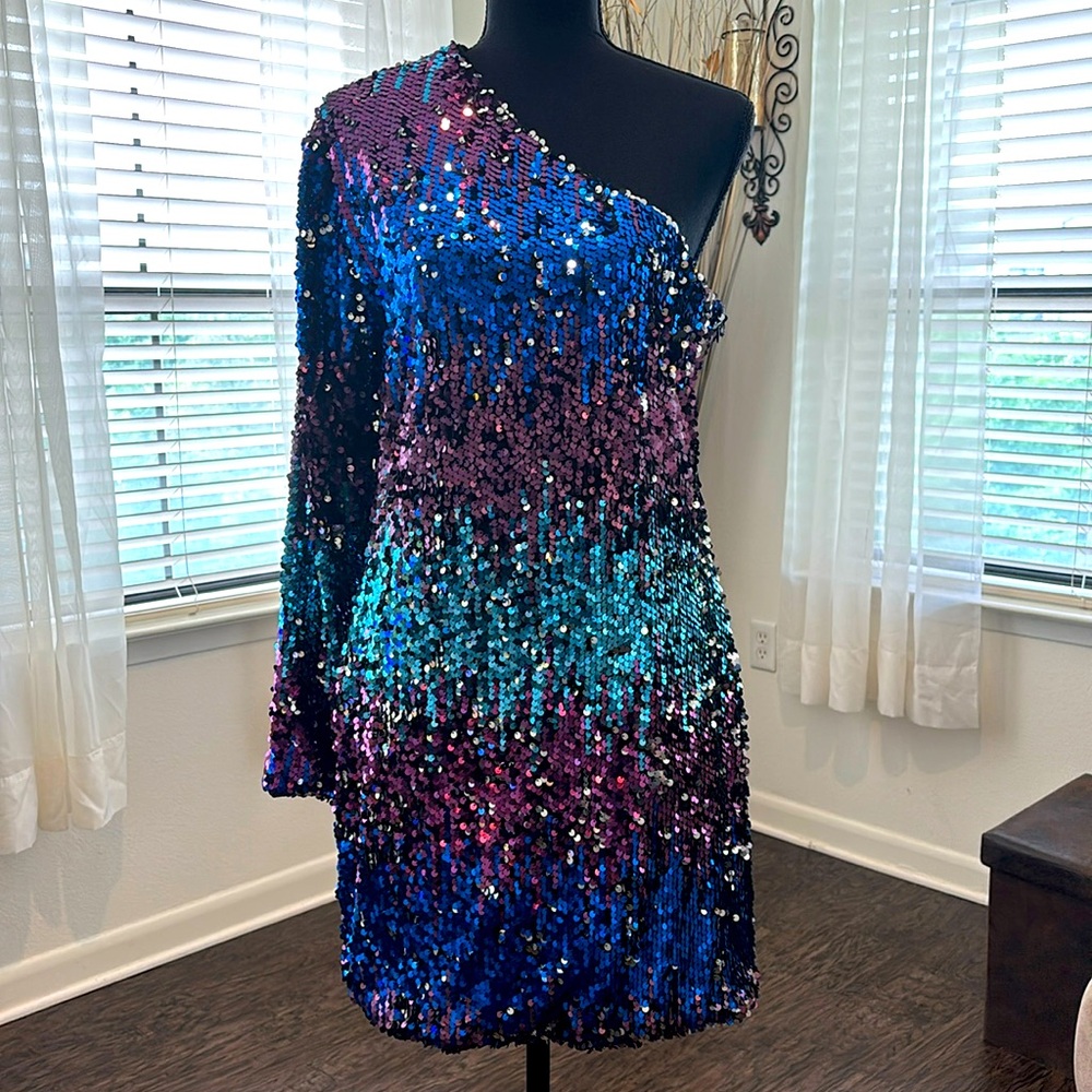 NWT: CBR Exclusive Selection Sequin Dress, Plus Size 2XL